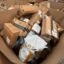 GIANT DHL Mail Pallets